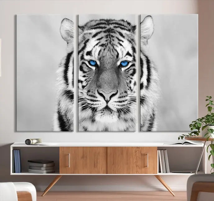 A striking triptych titled "Tiger Canvas Artwork Wall Art Print" showcases a white tiger with captivating blue eyes. This museum-quality, gallery-wrapped canvas stands out elegantly on its own, crafting a sophisticated visual experience.