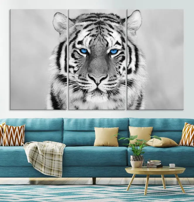 A striking triptych titled "Tiger Canvas Artwork Wall Art Print" showcases a white tiger with captivating blue eyes. This museum-quality, gallery-wrapped canvas stands out elegantly on its own, crafting a sophisticated visual experience.