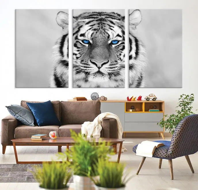 A striking triptych titled "Tiger Canvas Artwork Wall Art Print" showcases a white tiger with captivating blue eyes. This museum-quality, gallery-wrapped canvas stands out elegantly on its own, crafting a sophisticated visual experience.