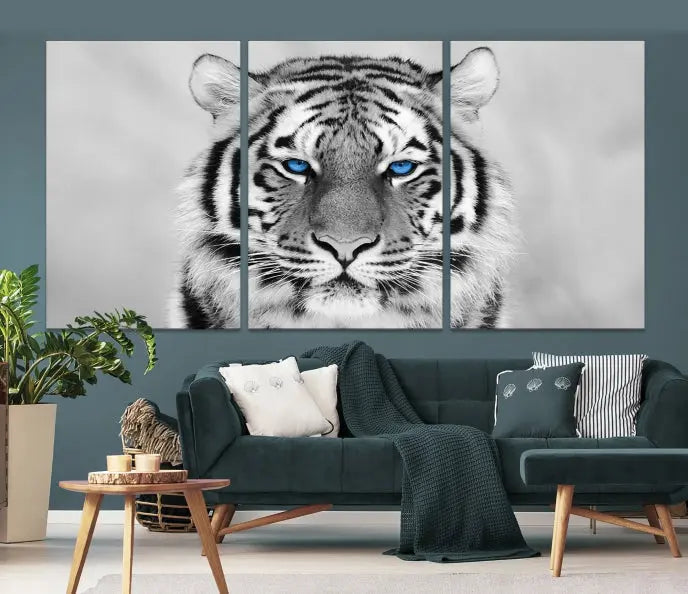 A striking triptych titled "Tiger Canvas Artwork Wall Art Print" showcases a white tiger with captivating blue eyes. This museum-quality, gallery-wrapped canvas stands out elegantly on its own, crafting a sophisticated visual experience.