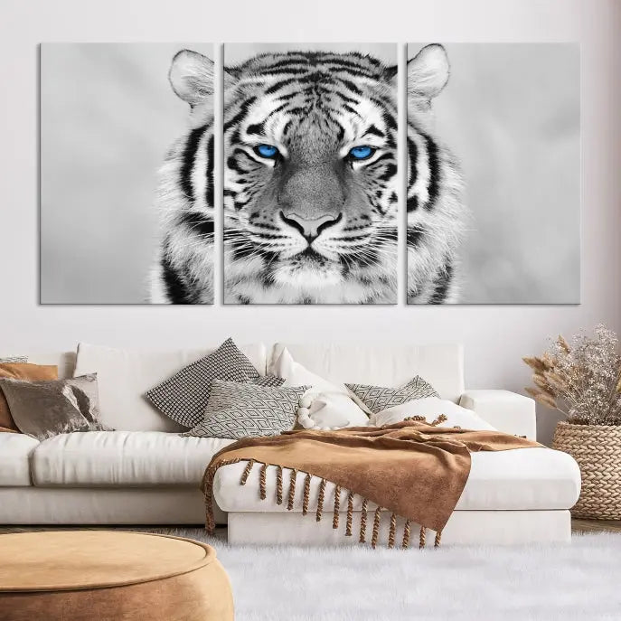 A striking triptych titled "Tiger Canvas Artwork Wall Art Print" showcases a white tiger with captivating blue eyes. This museum-quality, gallery-wrapped canvas stands out elegantly on its own, crafting a sophisticated visual experience.