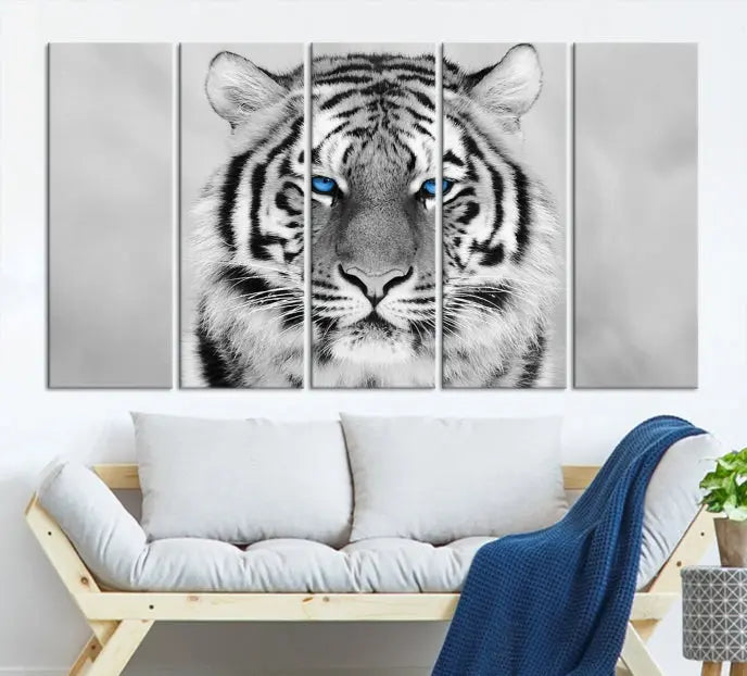 A striking triptych titled "Tiger Canvas Artwork Wall Art Print" showcases a white tiger with captivating blue eyes. This museum-quality, gallery-wrapped canvas stands out elegantly on its own, crafting a sophisticated visual experience.