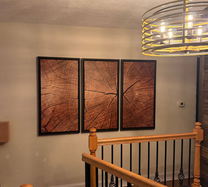 Tree Ring Canvas Art