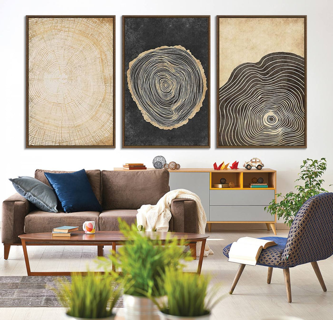 Tree Rings Canvas Wall Art Print – Minimalist Natural History in Modern Decor - Minimalist Boho Wall Art - Ready to Hang