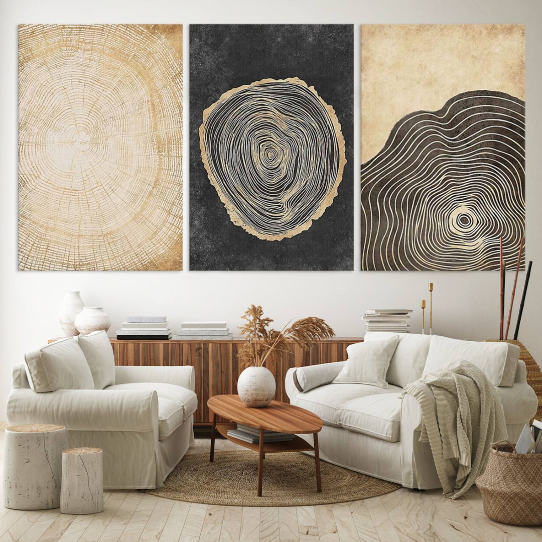 Tree Rings Canvas Wall Art Print – Minimalist Natural History in Modern Decor - Minimalist Boho Wall Art - Ready to Hang