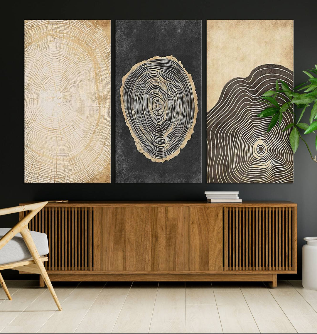 Tree Rings Canvas Wall Art Print – Minimalist Natural History in Modern Decor - Minimalist Boho Wall Art - Ready to Hang