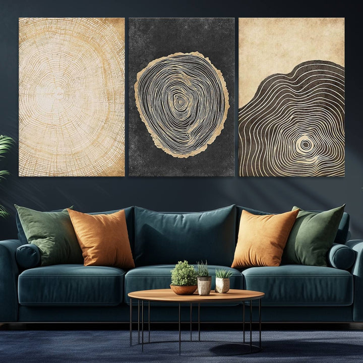 Tree Rings Canvas Wall Art Print – Minimalist Natural History in Modern Decor - Minimalist Boho Wall Art - Ready to Hang
