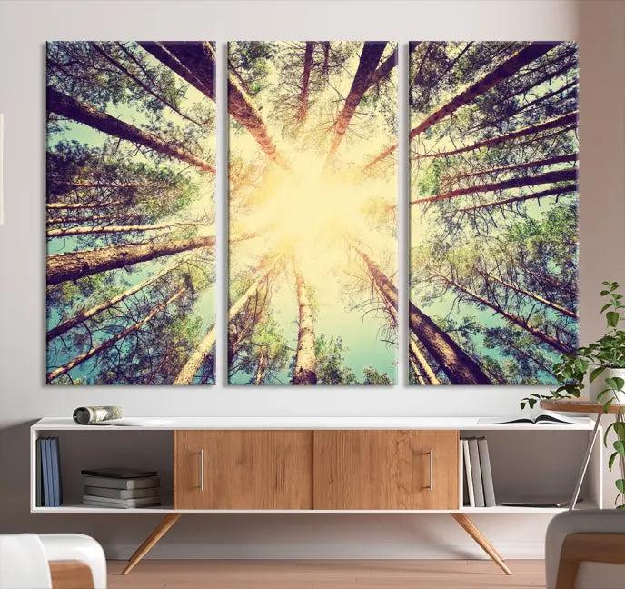 The "Tree and Sunshine" canvas print, depicting towering trees viewed from below with sunlight filtering through, is crafted on museum-quality canvas. Each piece is gallery wrapped and features a UV-protective coating to maintain its vibrant hues.