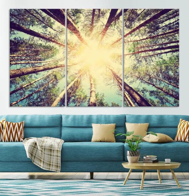 The "Tree and Sunshine" canvas print, depicting towering trees viewed from below with sunlight filtering through, is crafted on museum-quality canvas. Each piece is gallery wrapped and features a UV-protective coating to maintain its vibrant hues.