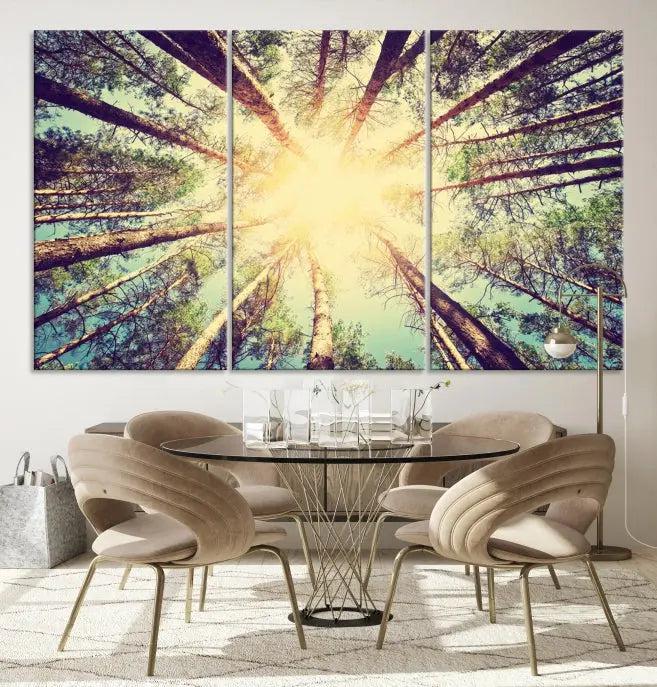 The "Tree and Sunshine" canvas print, depicting towering trees viewed from below with sunlight filtering through, is crafted on museum-quality canvas. Each piece is gallery wrapped and features a UV-protective coating to maintain its vibrant hues.