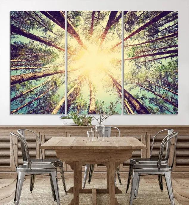 The "Tree and Sunshine" canvas print, depicting towering trees viewed from below with sunlight filtering through, is crafted on museum-quality canvas. Each piece is gallery wrapped and features a UV-protective coating to maintain its vibrant hues.