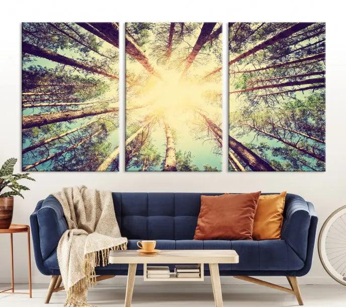 The "Tree and Sunshine" canvas print, depicting towering trees viewed from below with sunlight filtering through, is crafted on museum-quality canvas. Each piece is gallery wrapped and features a UV-protective coating to maintain its vibrant hues.