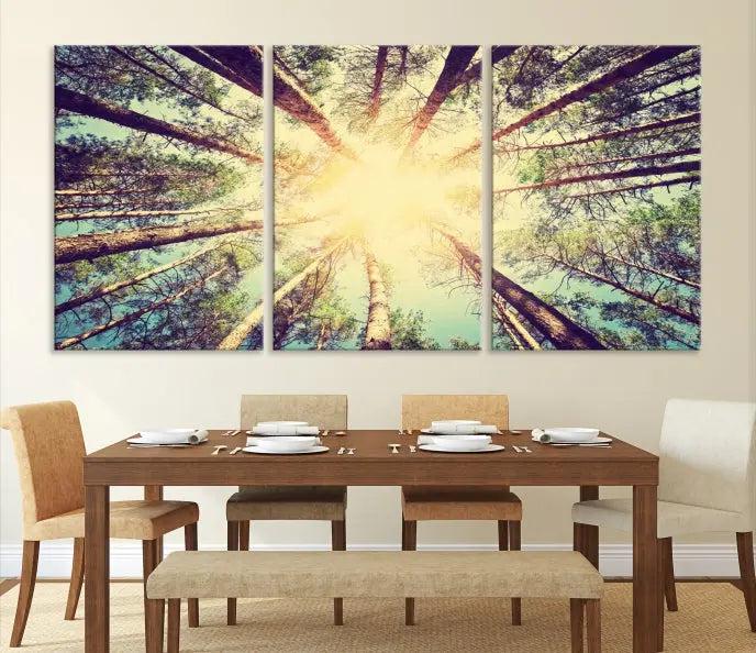 The "Tree and Sunshine" canvas print, depicting towering trees viewed from below with sunlight filtering through, is crafted on museum-quality canvas. Each piece is gallery wrapped and features a UV-protective coating to maintain its vibrant hues.