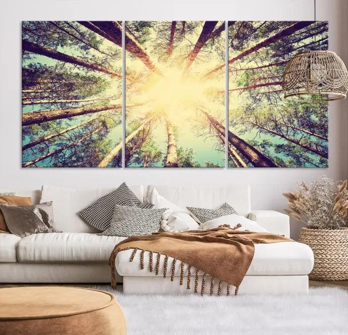 The "Tree and Sunshine" canvas print, depicting towering trees viewed from below with sunlight filtering through, is crafted on museum-quality canvas. Each piece is gallery wrapped and features a UV-protective coating to maintain its vibrant hues.