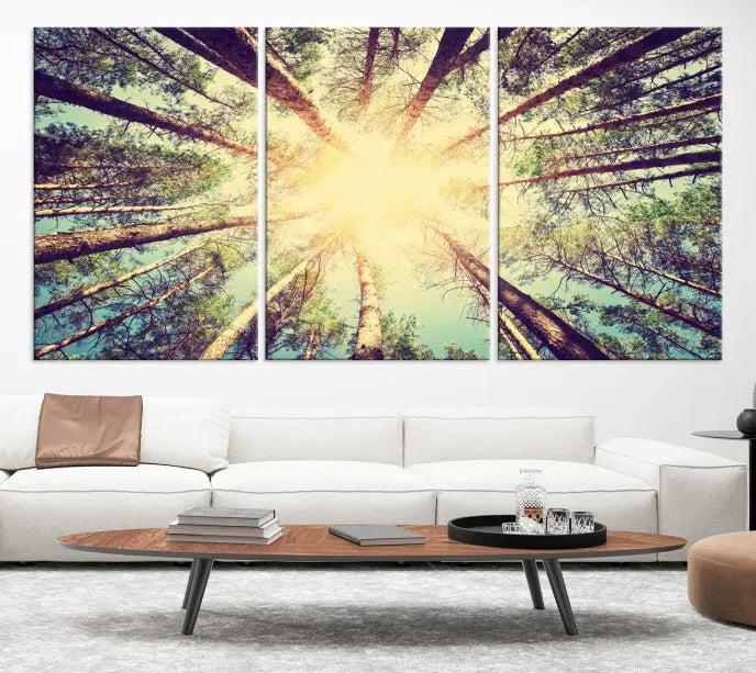 The "Tree and Sunshine" canvas print, depicting towering trees viewed from below with sunlight filtering through, is crafted on museum-quality canvas. Each piece is gallery wrapped and features a UV-protective coating to maintain its vibrant hues.