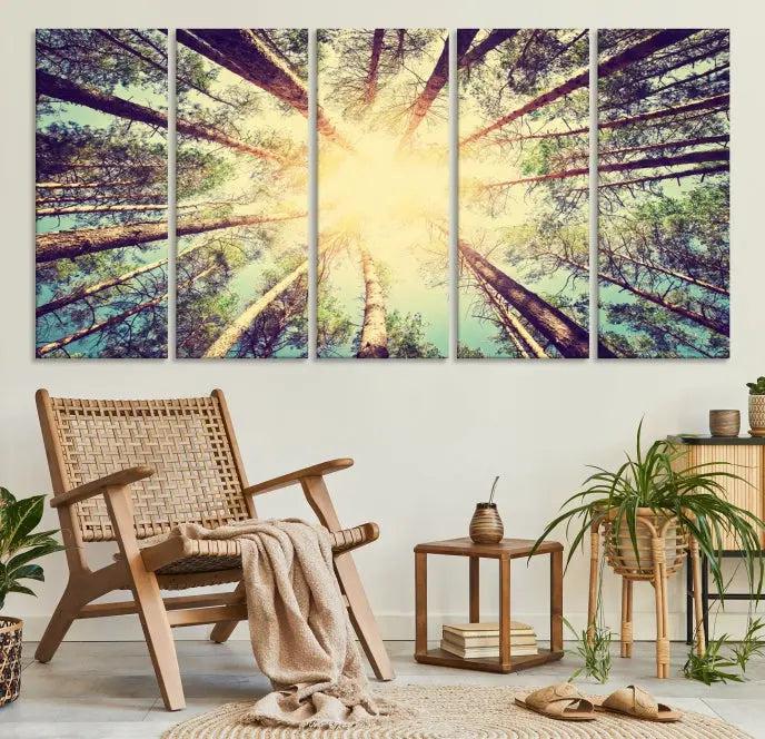 The "Tree and Sunshine" canvas print, depicting towering trees viewed from below with sunlight filtering through, is crafted on museum-quality canvas. Each piece is gallery wrapped and features a UV-protective coating to maintain its vibrant hues.