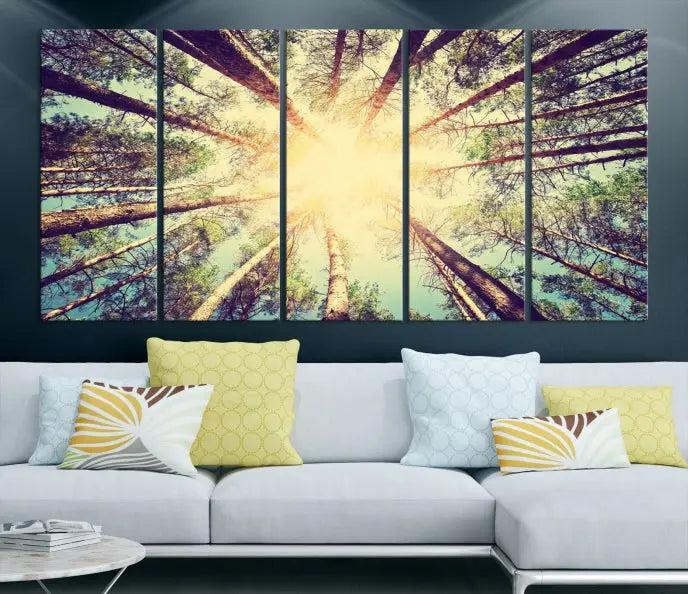 The "Tree and Sunshine" canvas print, depicting towering trees viewed from below with sunlight filtering through, is crafted on museum-quality canvas. Each piece is gallery wrapped and features a UV-protective coating to maintain its vibrant hues.