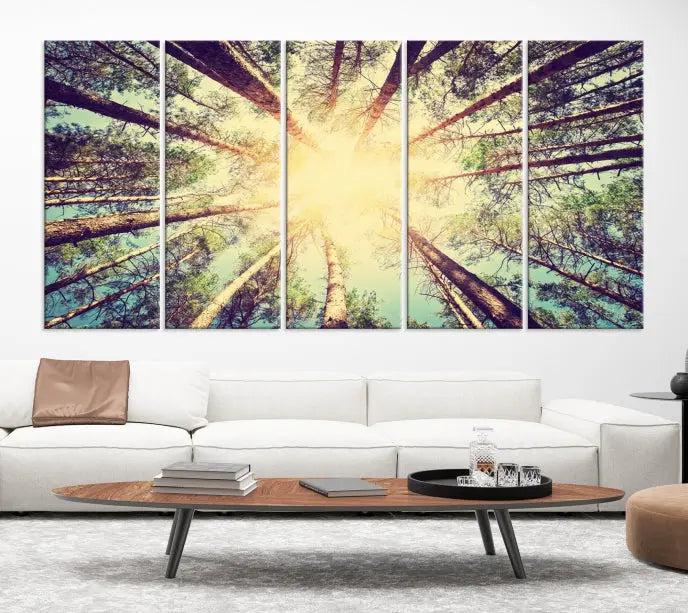 The "Tree and Sunshine" canvas print, depicting towering trees viewed from below with sunlight filtering through, is crafted on museum-quality canvas. Each piece is gallery wrapped and features a UV-protective coating to maintain its vibrant hues.