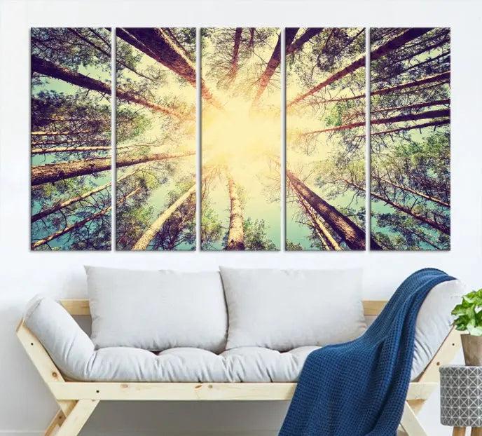 The "Tree and Sunshine" canvas print, depicting towering trees viewed from below with sunlight filtering through, is crafted on museum-quality canvas. Each piece is gallery wrapped and features a UV-protective coating to maintain its vibrant hues.