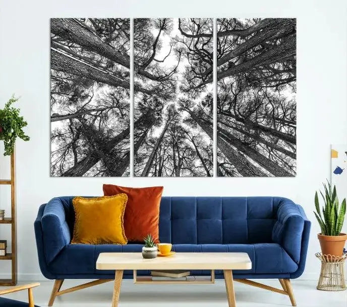 The "Trees Contemporary Art Canvas Print" is a striking black and white triptych featuring tall trees viewed from below. This artwork is gallery wrapped on museum-quality canvas, complete with a UV-protective coating to ensure its longevity.