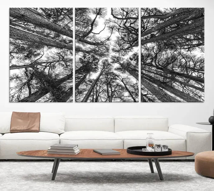 The "Trees Contemporary Art Canvas Print" is a striking black and white triptych featuring tall trees viewed from below. This artwork is gallery wrapped on museum-quality canvas, complete with a UV-protective coating to ensure its longevity.