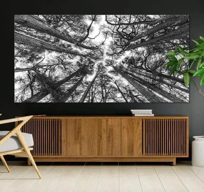 The "Trees Contemporary Art Canvas Print" is a striking black and white triptych featuring tall trees viewed from below. This artwork is gallery wrapped on museum-quality canvas, complete with a UV-protective coating to ensure its longevity.