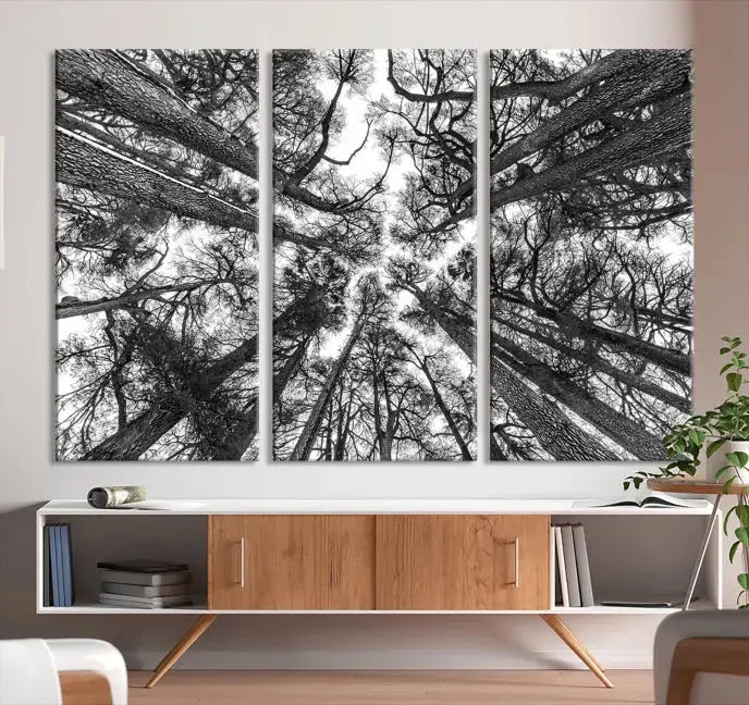 The "Trees Contemporary Art Canvas Print" is a striking black and white triptych featuring tall trees viewed from below. This artwork is gallery wrapped on museum-quality canvas, complete with a UV-protective coating to ensure its longevity.