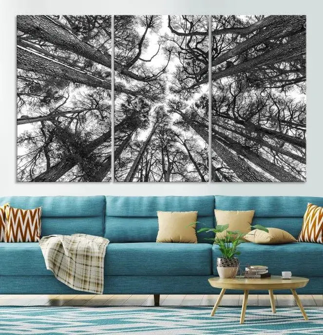 The "Trees Contemporary Art Canvas Print" is a striking black and white triptych featuring tall trees viewed from below. This artwork is gallery wrapped on museum-quality canvas, complete with a UV-protective coating to ensure its longevity.