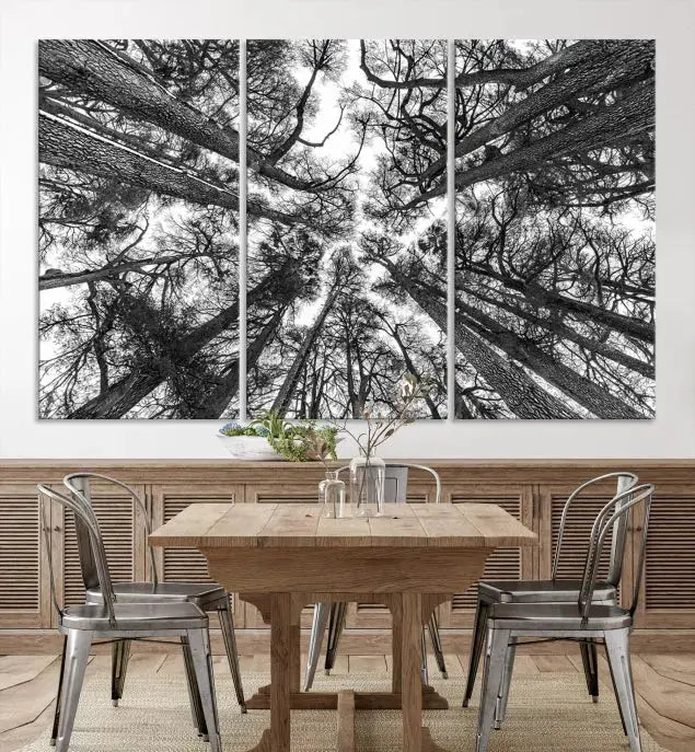 The "Trees Contemporary Art Canvas Print" is a striking black and white triptych featuring tall trees viewed from below. This artwork is gallery wrapped on museum-quality canvas, complete with a UV-protective coating to ensure its longevity.