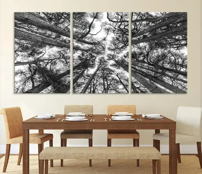 The "Trees Contemporary Art Canvas Print" is a striking black and white triptych featuring tall trees viewed from below. This artwork is gallery wrapped on museum-quality canvas, complete with a UV-protective coating to ensure its longevity.