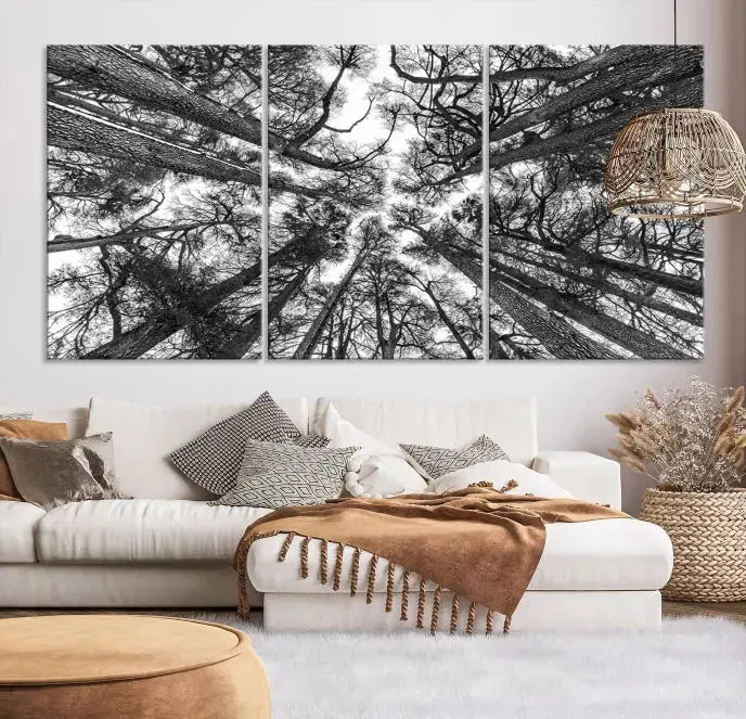 The "Trees Contemporary Art Canvas Print" is a striking black and white triptych featuring tall trees viewed from below. This artwork is gallery wrapped on museum-quality canvas, complete with a UV-protective coating to ensure its longevity.