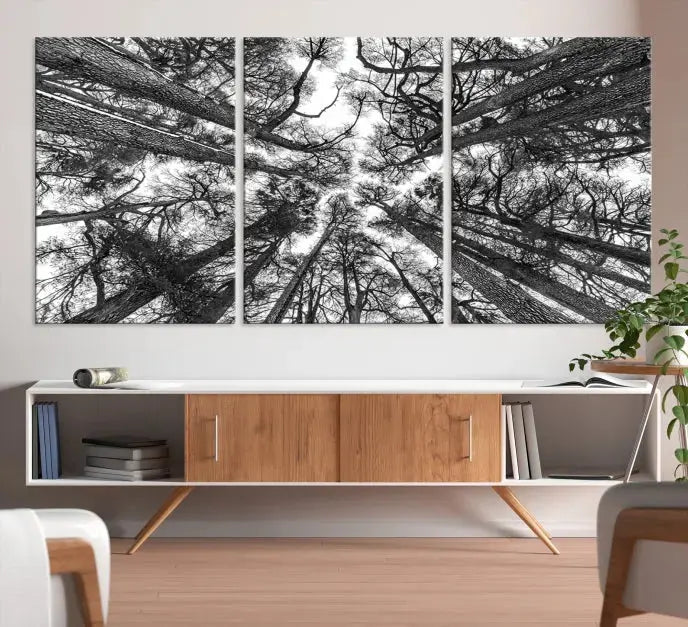 The "Trees Contemporary Art Canvas Print" is a striking black and white triptych featuring tall trees viewed from below. This artwork is gallery wrapped on museum-quality canvas, complete with a UV-protective coating to ensure its longevity.