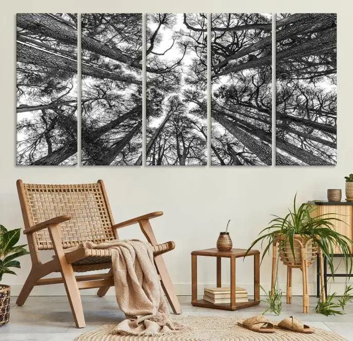 The "Trees Contemporary Art Canvas Print" is a striking black and white triptych featuring tall trees viewed from below. This artwork is gallery wrapped on museum-quality canvas, complete with a UV-protective coating to ensure its longevity.