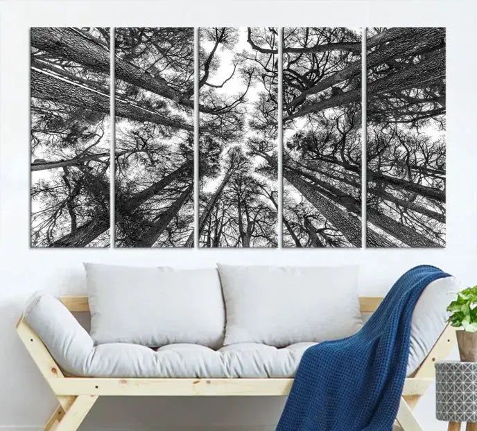 The "Trees Contemporary Art Canvas Print" is a striking black and white triptych featuring tall trees viewed from below. This artwork is gallery wrapped on museum-quality canvas, complete with a UV-protective coating to ensure its longevity.