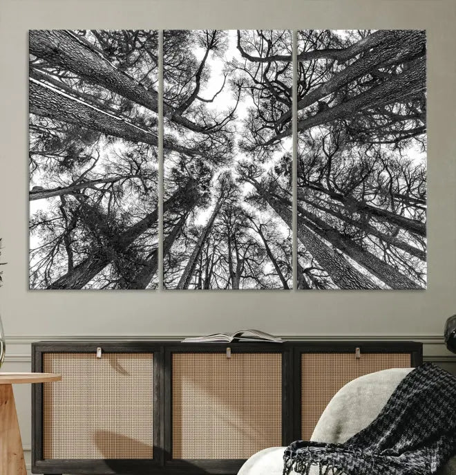 The "Trees Contemporary Art Canvas Print" is a striking black and white triptych featuring tall trees viewed from below. This artwork is gallery wrapped on museum-quality canvas, complete with a UV-protective coating to ensure its longevity.