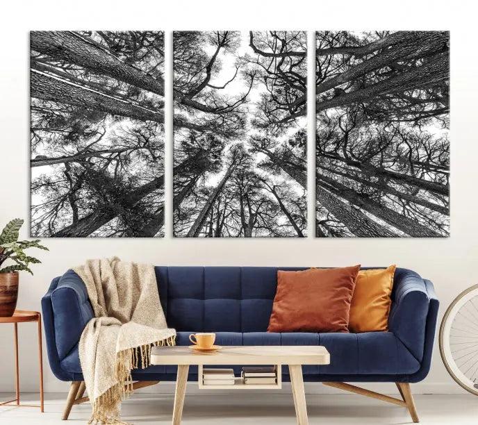 The "Trees Contemporary Art Canvas Print" is a striking black and white triptych featuring tall trees viewed from below. This artwork is gallery wrapped on museum-quality canvas, complete with a UV-protective coating to ensure its longevity.