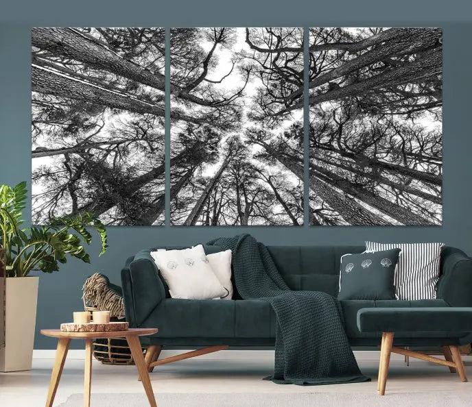 The "Trees Contemporary Art Canvas Print" is a striking black and white triptych featuring tall trees viewed from below. This artwork is gallery wrapped on museum-quality canvas, complete with a UV-protective coating to ensure its longevity.