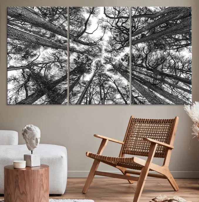 The "Trees Contemporary Art Canvas Print" is a striking black and white triptych featuring tall trees viewed from below. This artwork is gallery wrapped on museum-quality canvas, complete with a UV-protective coating to ensure its longevity.