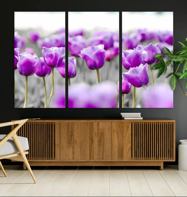 Ready to hang, the Tulip Fields Canvas Wall Art Print showcases a triptych of vibrant purple tulips. Printed on museum-quality canvas with UV-protective coating, it ensures lasting vibrancy and elegance in any room.