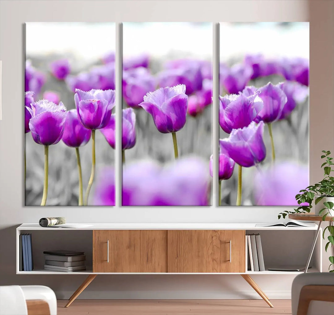 Ready to hang, the Tulip Fields Canvas Wall Art Print showcases a triptych of vibrant purple tulips. Printed on museum-quality canvas with UV-protective coating, it ensures lasting vibrancy and elegance in any room.