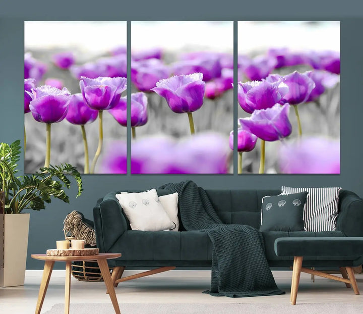 Ready to hang, the Tulip Fields Canvas Wall Art Print showcases a triptych of vibrant purple tulips. Printed on museum-quality canvas with UV-protective coating, it ensures lasting vibrancy and elegance in any room.