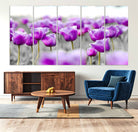 Tulip Fields Canvas Wall Art Print