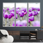 65187-MGV-FC-48X32-3P_White-Tulip Fields Canvas Wall Art Print