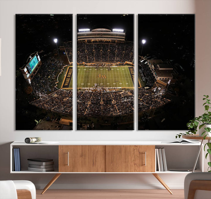 Wake Forest University Demon Deacons Canvas Printi, Football Team Print - Winston-Salem Allegacy Federal Credit Union Stadium Wall Art