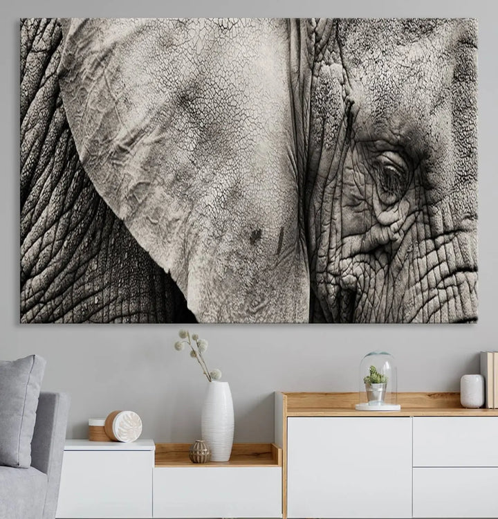 The Elephant with Big Ivories UV-protective canvas adorns the kitchen.