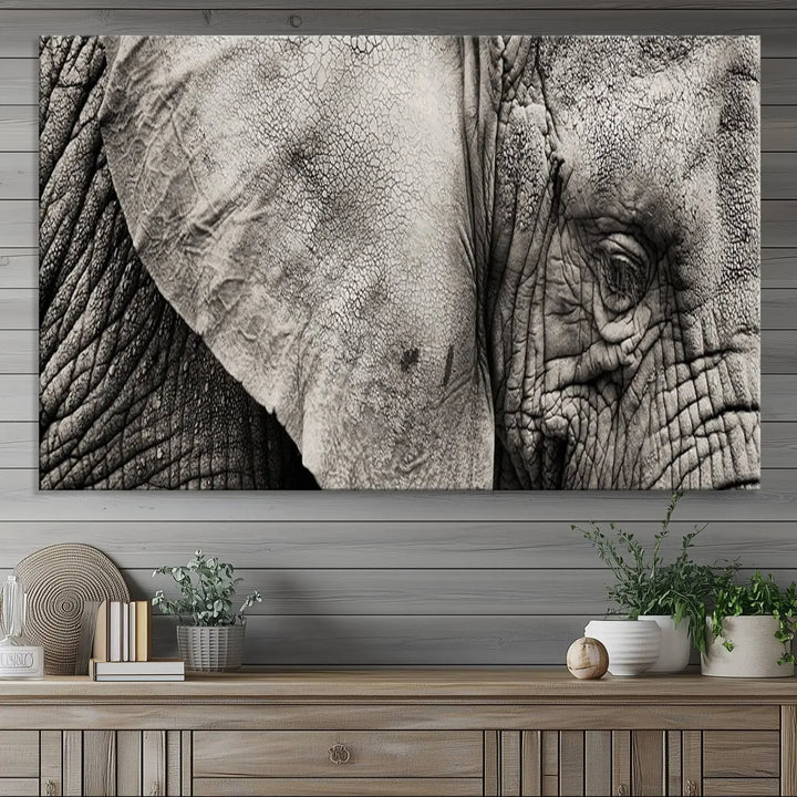 The Elephant with Big Ivories UV-protective canvas adorns the kitchen.