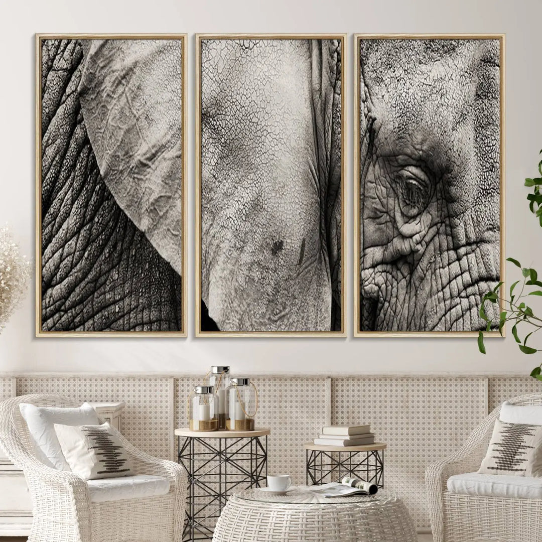 The Elephant with Big Ivories UV-protective canvas adorns the kitchen.