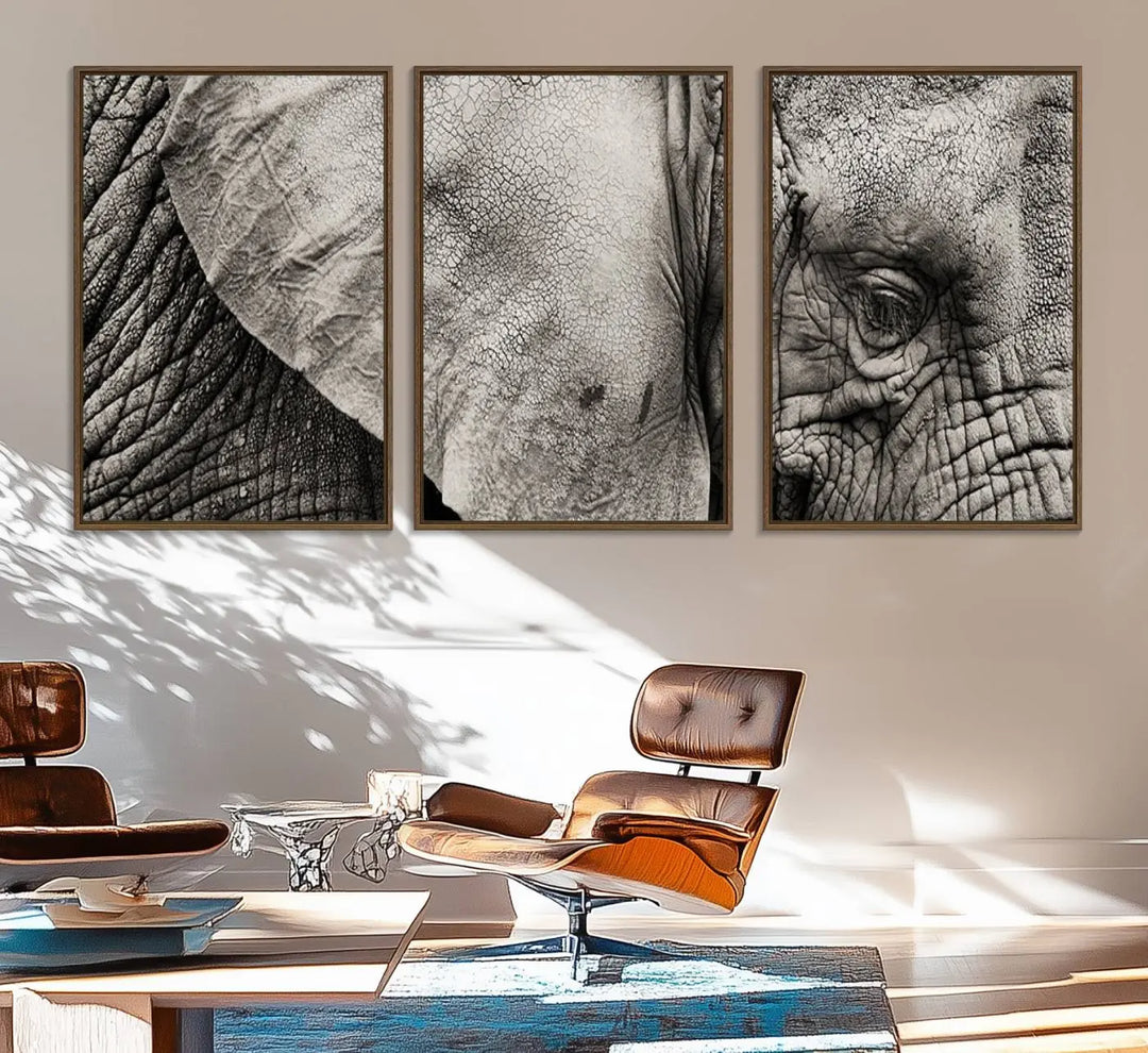 The Elephant with Big Ivories UV-protective canvas adorns the kitchen.