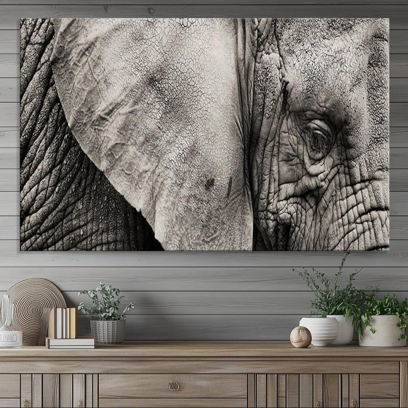 81193-MGV-CV-36X24-Wall Art Animal Canvas Print Close Taken Elephant with Big Ivories