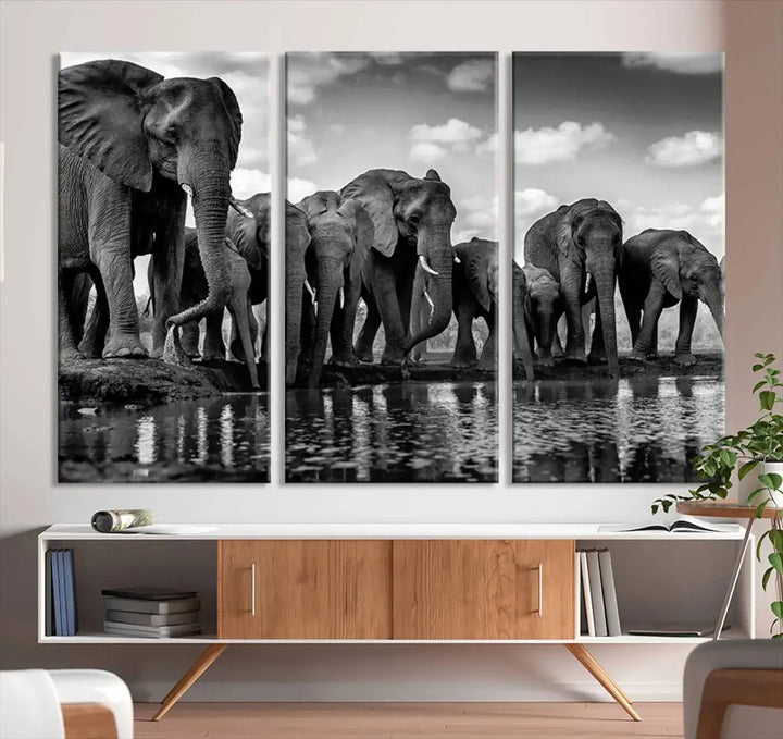 A stunning "Wall Art Animal Canvas Print" featuring a black and white photo of a herd of elephants drinking water is elegantly displayed, gallery wrapped on museum-quality canvas.